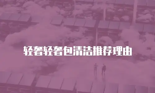 轻奢轻奢包清洁推荐理由