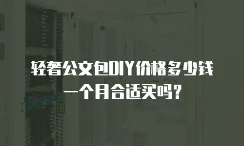 轻奢公文包DIY价格多少钱一个月合适买吗？