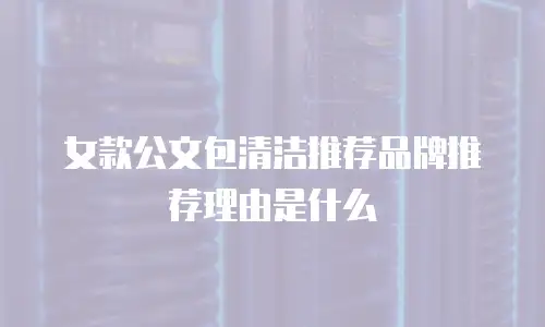 女款公文包清洁推荐品牌推荐理由是什么