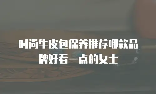 时尚牛皮包保养推荐哪款品牌好看一点的女士