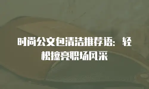 时尚公文包清洁推荐语：轻松擦亮职场风采