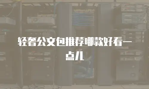 轻奢公文包推荐哪款好看一点儿