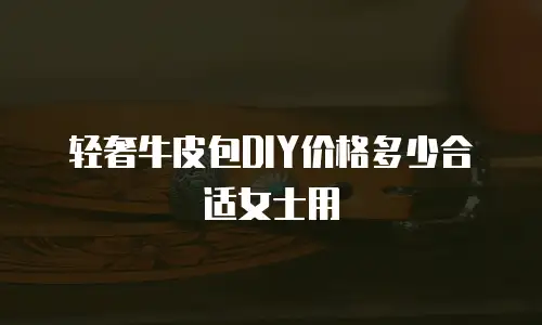 轻奢牛皮包DIY价格多少合适女士用