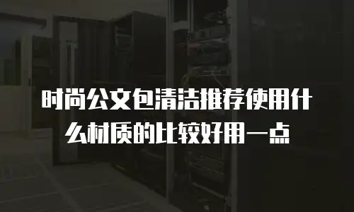 时尚公文包清洁推荐使用什么材质的比较好用一点