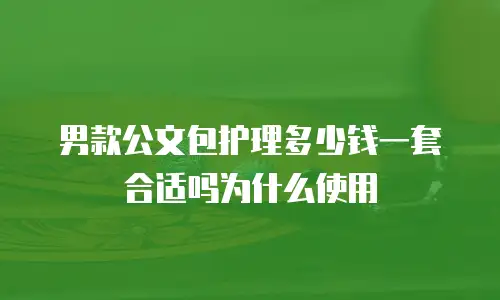 男款公文包护理多少钱一套合适吗为什么使用