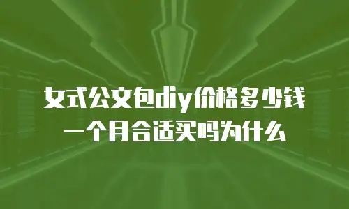 女式公文包diy价格多少钱一个月合适买吗为什么