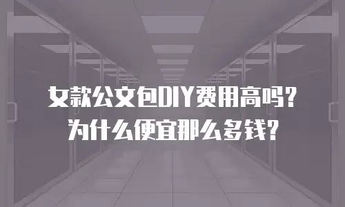 女款公文包DIY费用高吗？为什么便宜那么多钱？