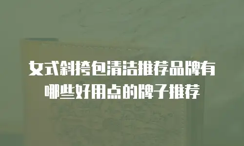 女式斜挎包清洁推荐品牌有哪些好用点的牌子推荐