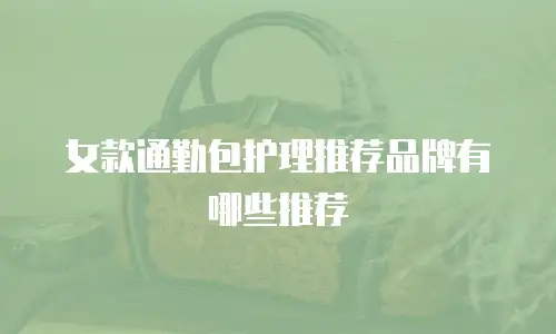 女款通勤包护理推荐品牌有哪些推荐