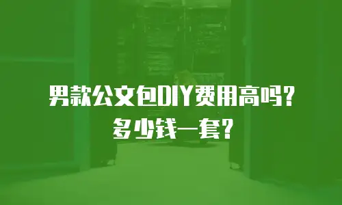 男款公文包DIY费用高吗？多少钱一套？