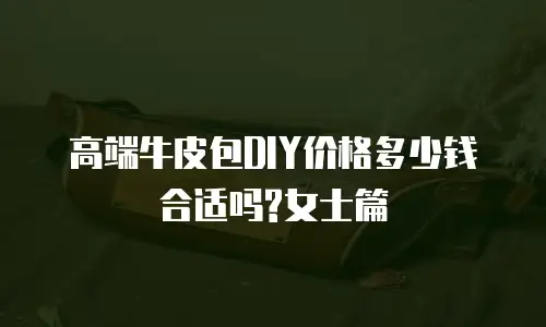 高端牛皮包DIY价格多少钱合适吗?女士篇