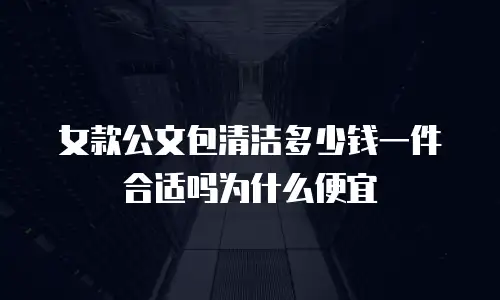 女款公文包清洁多少钱一件合适吗为什么便宜