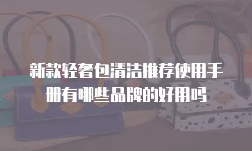 新款轻奢包清洁推荐使用手册有哪些品牌的好用吗