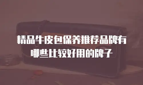 精品牛皮包保养推荐品牌有哪些比较好用的牌子