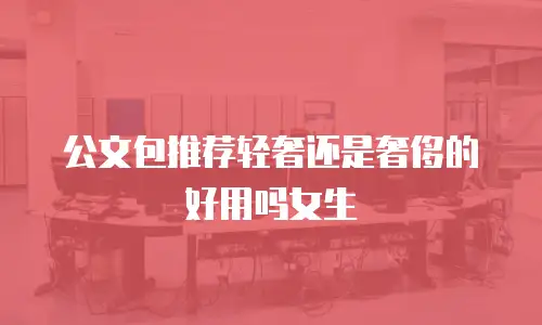 公文包推荐轻奢还是奢侈的好用吗女生