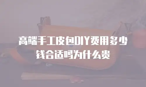 高端手工皮包DIY费用多少钱合适吗为什么贵