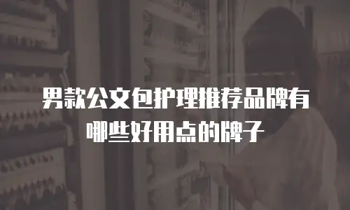 男款公文包护理推荐品牌有哪些好用点的牌子