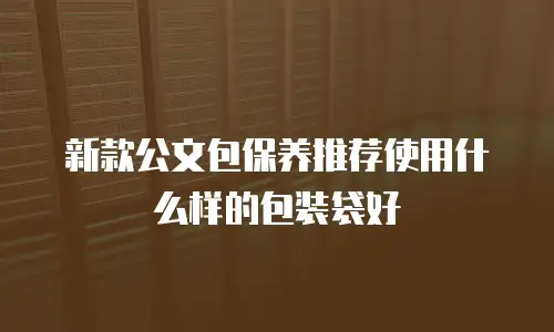 新款公文包保养推荐使用什么样的包装袋好