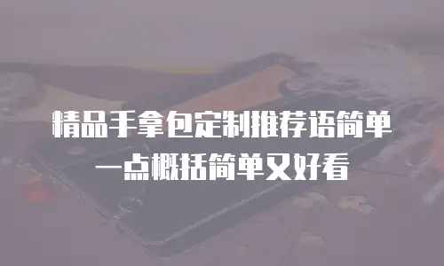精品手拿包定制推荐语简单一点概括简单又好看
