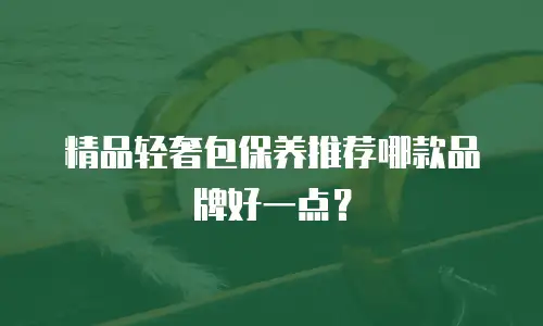 精品轻奢包保养推荐哪款品牌好一点？