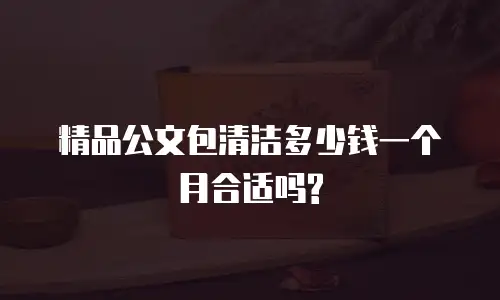 精品公文包清洁多少钱一个月合适吗?