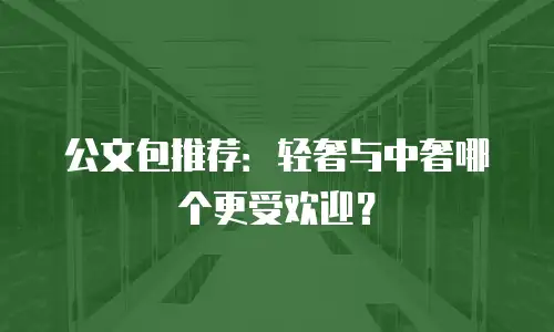 公文包推荐：轻奢与中奢哪个更受欢迎？