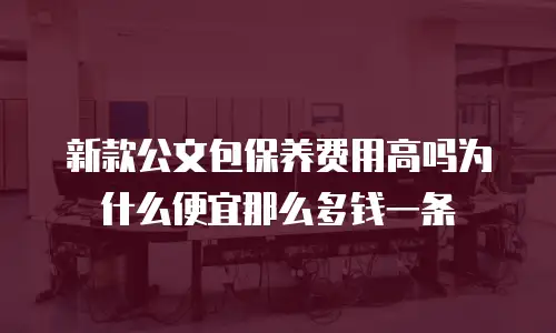 新款公文包保养费用高吗为什么便宜那么多钱一条