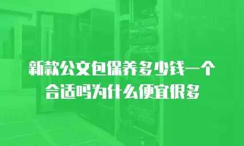 新款公文包保养多少钱一个合适吗为什么便宜很多
