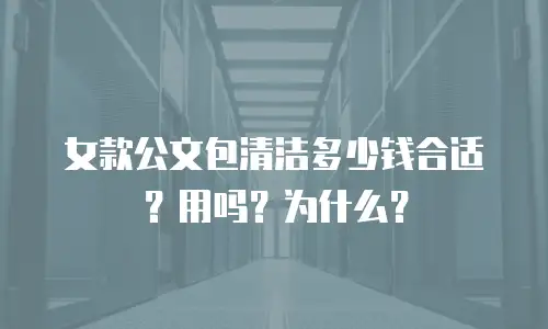 女款公文包清洁多少钱合适？用吗？为什么？