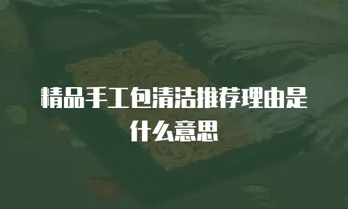 精品手工包清洁推荐理由是什么意思