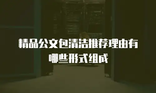 精品公文包清洁推荐理由有哪些形式组成