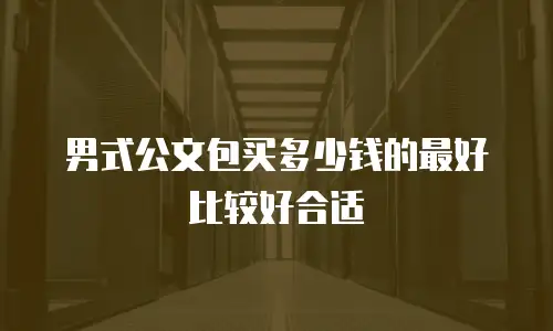 男式公文包买多少钱的最好比较好合适