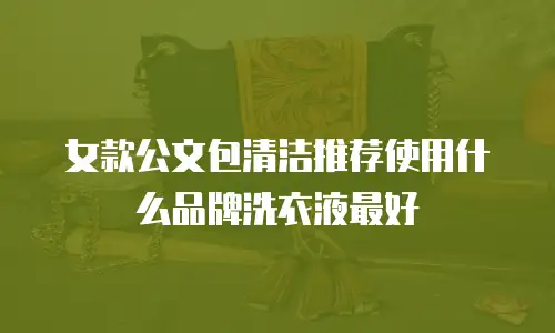 女款公文包清洁推荐使用什么品牌洗衣液最好