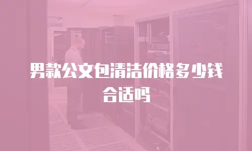 男款公文包清洁价格多少钱合适吗