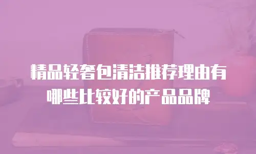 精品轻奢包清洁推荐理由有哪些比较好的产品品牌