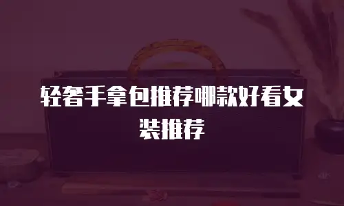 轻奢手拿包推荐哪款好看女装推荐