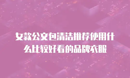 女款公文包清洁推荐使用什么比较好看的品牌衣服