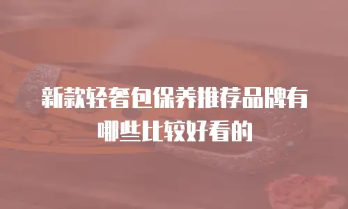 新款轻奢包保养推荐品牌有哪些比较好看的