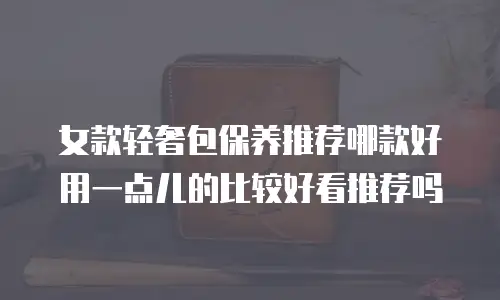 女款轻奢包保养推荐哪款好用一点儿的比较好看推荐吗