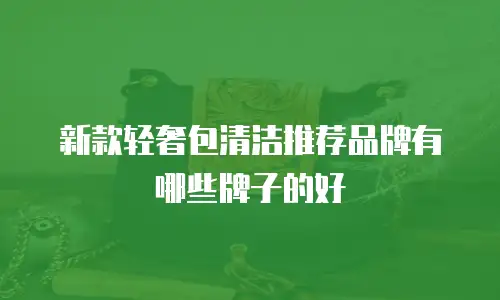 新款轻奢包清洁推荐品牌有哪些牌子的好