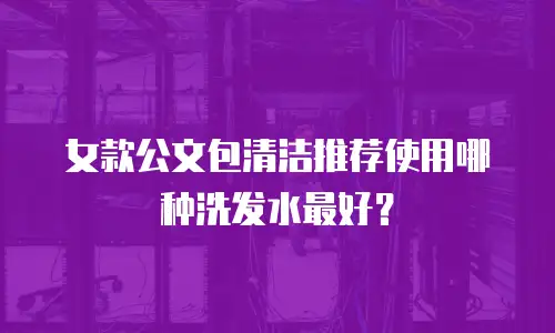 女款公文包清洁推荐使用哪种洗发水最好？