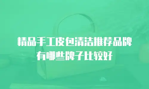 精品手工皮包清洁推荐品牌有哪些牌子比较好