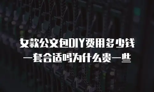 女款公文包DIY费用多少钱一套合适吗为什么贵一些