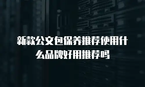 新款公文包保养推荐使用什么品牌好用推荐吗