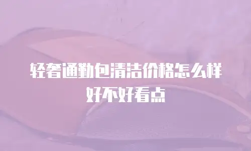 轻奢通勤包清洁价格怎么样好不好看点