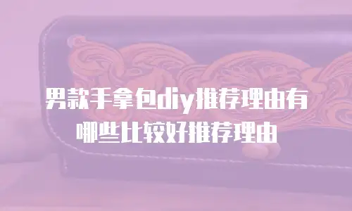 男款手拿包diy推荐理由有哪些比较好推荐理由