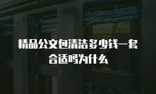 精品公文包清洁多少钱一套合适吗为什么