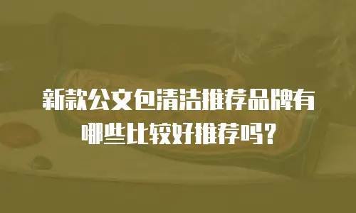 新款公文包清洁推荐品牌有哪些比较好推荐吗？
