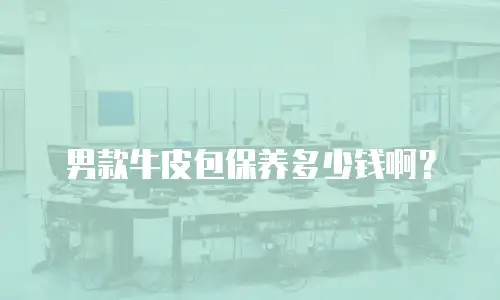 男款牛皮包保养多少钱啊？