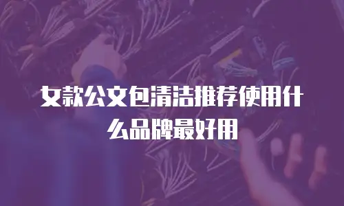 女款公文包清洁推荐使用什么品牌最好用